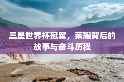 三星世界杯冠军，荣耀背后的故事与奋斗历程