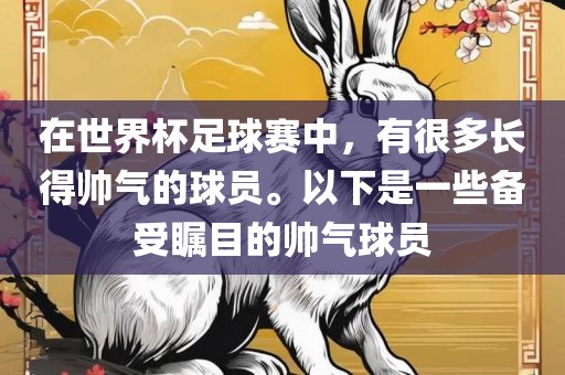 在世界杯足球赛中，有很多长得帅气的球员。以下是一些备受瞩目的帅气球员
