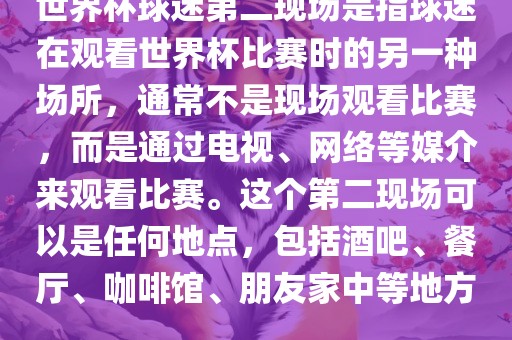 世界杯球迷第二现场是指球迷在观看世界杯比赛时的另一种场所，通常不是现场观看比赛，而是通过电视、网络等媒介来观看比赛。这个第二现场可以是任何地点，包括酒吧、餐厅、咖啡馆、朋友家中等地方。