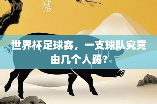 世界杯足球赛，一支球队究竟由几个人踢？