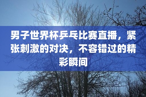 男子世界杯乒乓比赛直播，紧张刺激的对决，不容错过的精彩瞬间