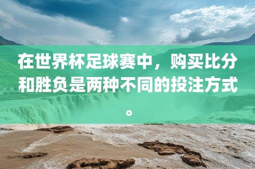 在世界杯足球赛中，购买比分和胜负是两种不同的投注方式。
