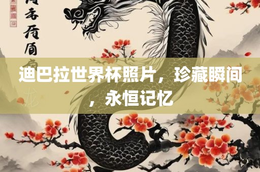 迪巴拉世界杯照片，珍藏瞬间，永恒记忆