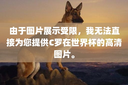 由于图片展示受限，我无法直接为您提供C罗在世界杯的高清图片。