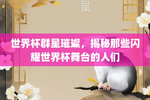 世界杯群星璀璨，揭秘那些闪耀世界杯舞台的人们