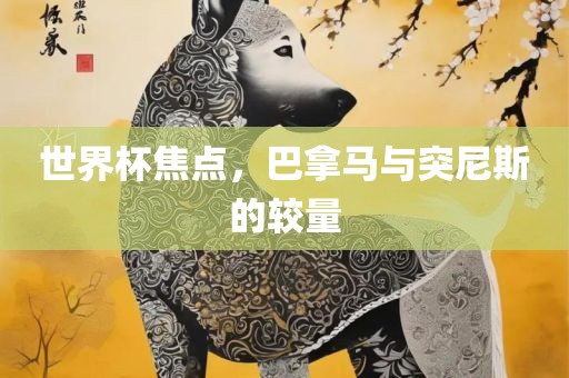 世界杯焦点，巴拿马与突尼斯的较量