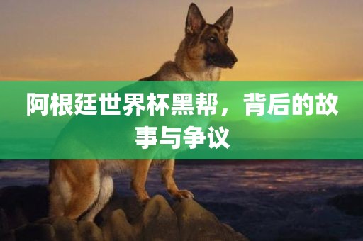 阿根廷世界杯黑帮，背后的故事与争议
