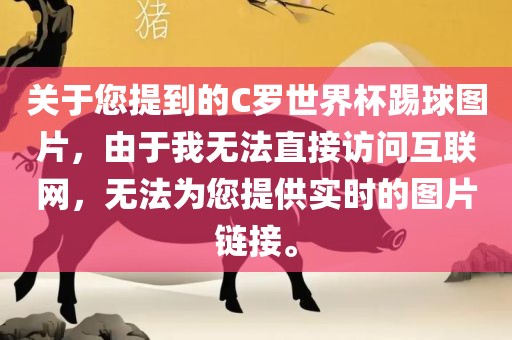 关于您提到的C罗世界杯踢球图片，由于我无法直接访问互联网，无法为您提供实时的图片链接。