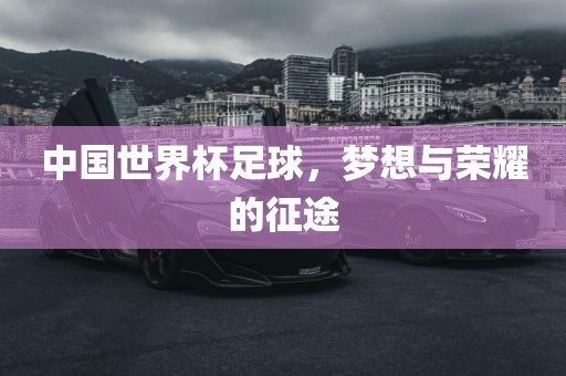 中国世界杯足球，梦想与荣耀的征途广西贺州市华昌新材料有限公司