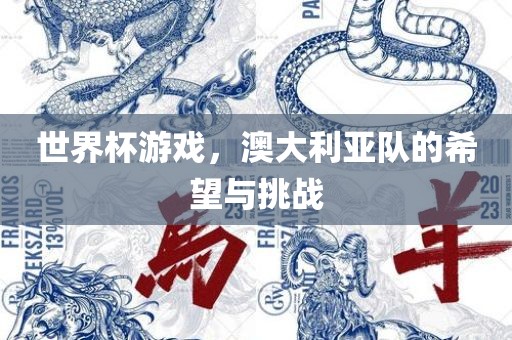 世界杯游戏，澳大利亚队的希望与挑战