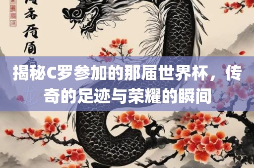 揭秘C罗参加的那届世界杯，传奇的足迹与荣耀的瞬间