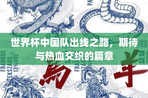世界杯中国队出线之路，期待与热血交织的篇章