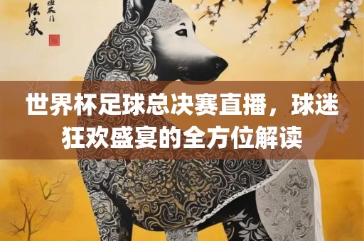 世界杯足球总决赛直播，球迷狂欢盛宴的全方位解读