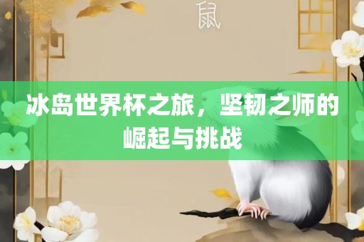 冰岛世界杯之旅，坚韧之师的崛起与挑战广西贺州市华昌新材料有限公司