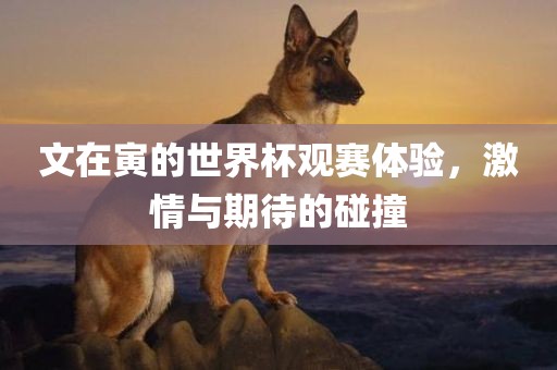文在寅的世界杯观赛体验，激情与期待的碰撞
