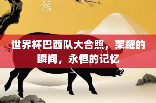 世界杯巴西队大合照，荣耀的瞬间，永恒的记忆