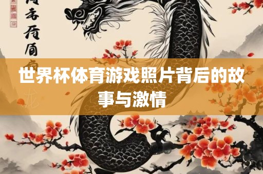 世界杯体育游戏照片背后的故事与激情