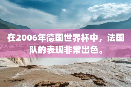 在2006年德国世界杯中，法国队的表现非常出色。