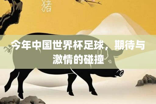 今年中国世界杯足球，期待与激情的碰撞