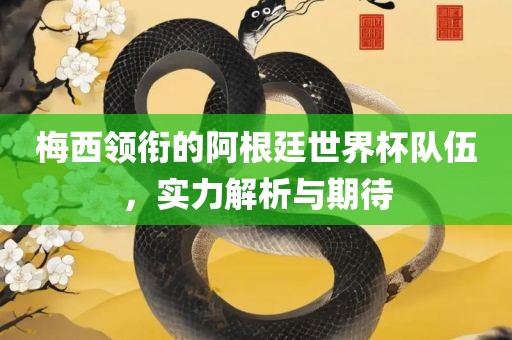 梅西领衔的阿根廷世界杯队伍，实力解析与期待