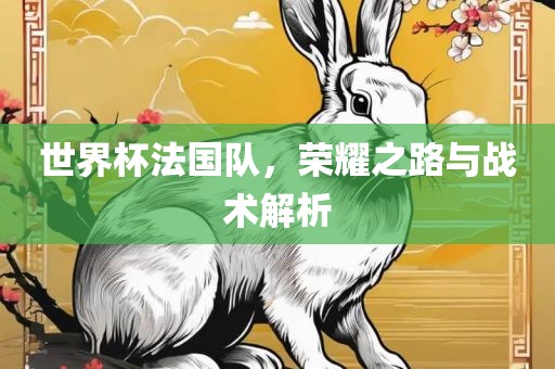 世界杯法国队，荣耀之路与战术解析