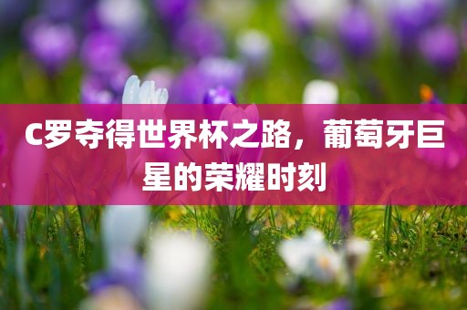C罗夺得世界杯之路，葡萄牙巨星的荣耀时刻