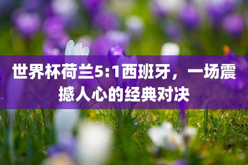 世界杯荷兰5:1西班牙，一场震撼人心的经典对决
