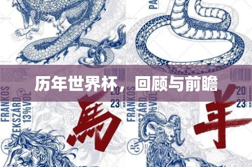 历年世界杯，回顾与前瞻广西贺州市华昌新材料有限公司
