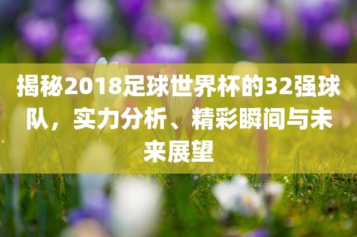 揭秘2018足球世界杯的32强球队，实力分析、精彩瞬间与未来展望