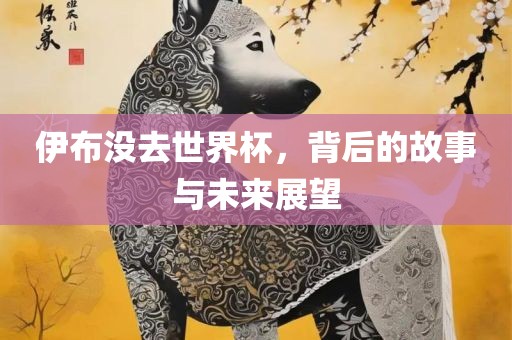 伊布没去世界杯，背后的故事与未来展望