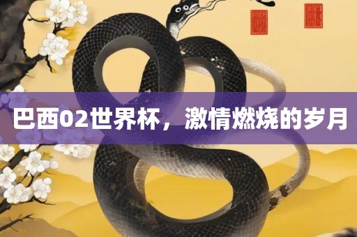 巴西02世界杯，激情燃烧的岁月