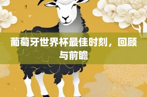 葡萄牙世界杯最佳时刻，回顾与前瞻