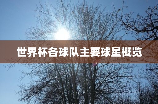 世界杯各球队主要球星概览
