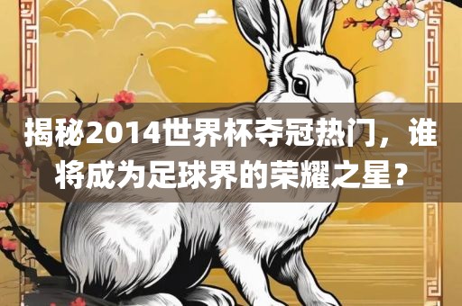 揭秘2014世界杯夺冠热门，谁将成为足球界的荣耀之星？