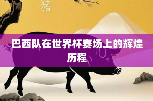 广西贺州市华昌新材料有限公司巴西队在世界杯赛场上的辉煌历程