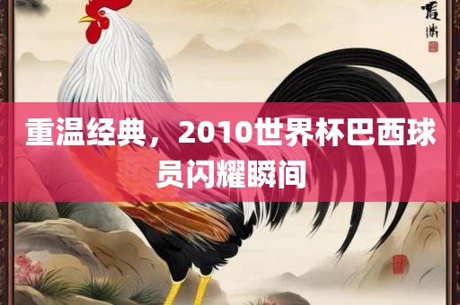 重温经典，2010世界杯巴西球员闪耀瞬间