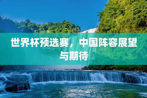 世界杯预选赛，中国阵容展望与期待