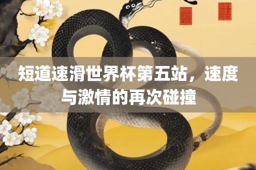 短道速滑世界杯第五站，速度与激情的再次碰撞