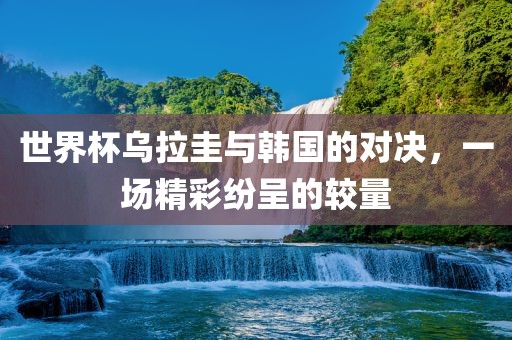 世界杯乌拉圭与韩国的对决，一场精彩纷呈的较量