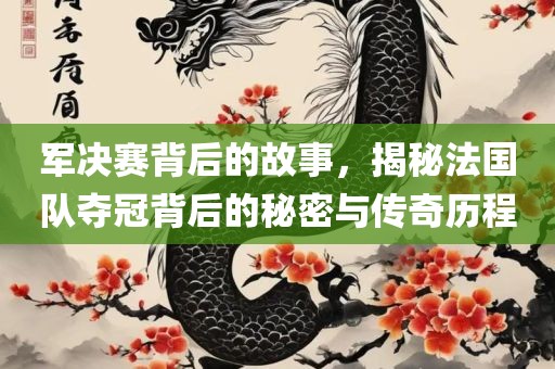 军决赛背后的故事，揭秘法国队夺冠背后的秘密与传奇历程