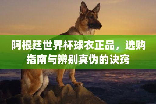 阿根廷世界杯球衣正品，选购指南与辨别真伪的诀窍