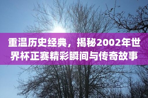 重温历史经典，揭秘2002年世界杯正赛精彩瞬间与传奇故事