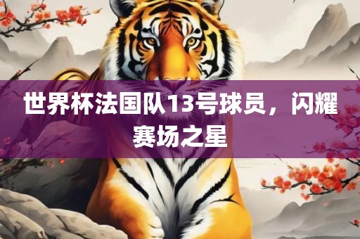世界杯法国队13号球员，闪耀赛场之星