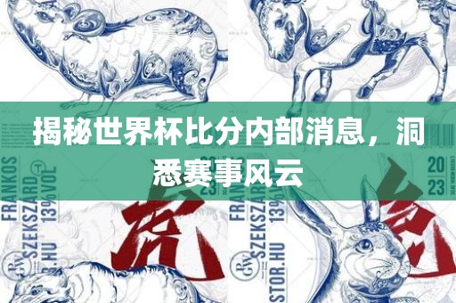 揭秘世界杯比分内部消息，洞悉赛事风云