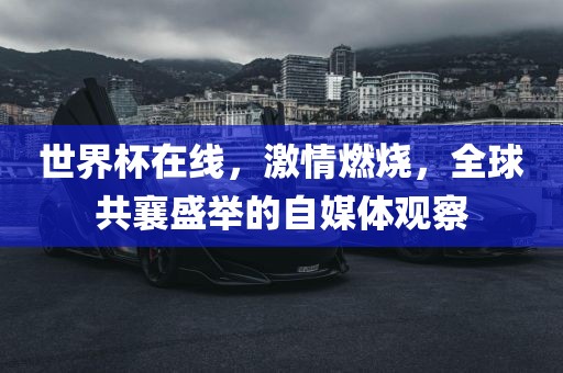 世界杯在线，激情燃烧，全球共襄盛举的自媒体观察广西贺州市华昌新材料有限公司