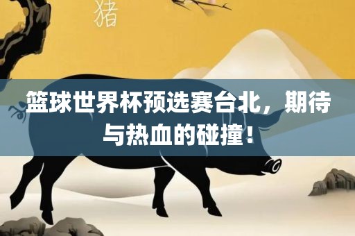 篮球世界杯预选赛台北，期待与热血的碰撞！
