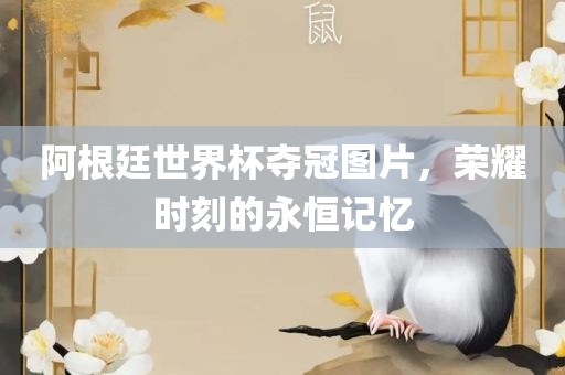 阿根廷世界杯夺冠图片，荣耀时刻的永恒记忆
