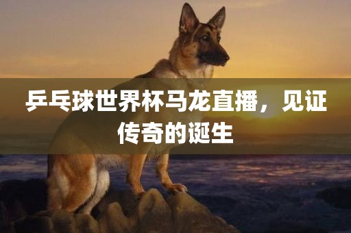 乒乓球世界杯马龙直播，见证传奇的诞生