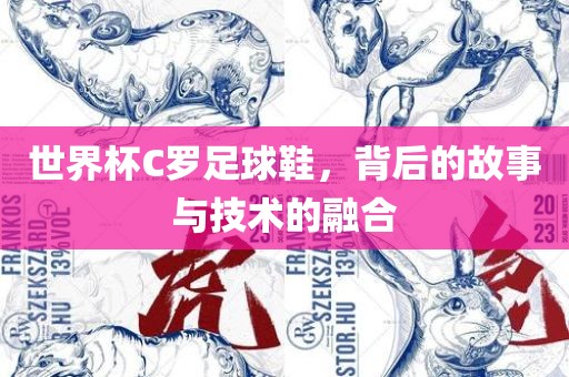世界杯C罗足球鞋，背后的故事与技术的融合