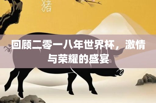 回顾二零一八年世界杯，激情与荣耀的盛宴